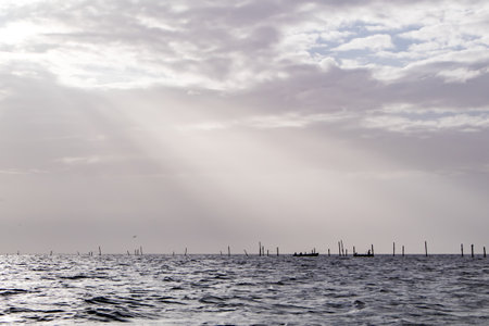 Fisherman with small boats and nets in rough sea with stakes