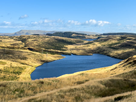 Summer view of heather and grass highlands in Scotland with water and rolling hillsの写真素材