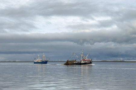 fishing ship, boat trawling nets with gulls at Wadden seaの写真素材