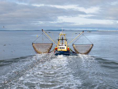 Aerial of fishing ship, boat trawling nets with gulls at Wadden seaの写真素材