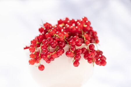 Red currant, focus on the foregroundの写真素材