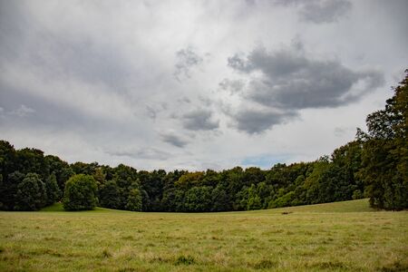 Meadow and trees in the park at Decksteiner Weiher, Cologneの写真素材