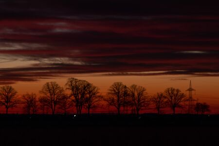 trees at a side of a country road at dawnの写真素材
