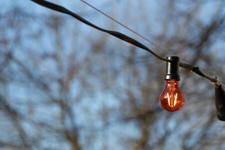 light garland with light bulbの写真素材