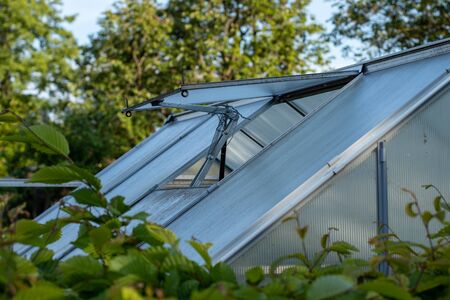 roof window of a small greenhouse in an allotment garden, open windowの写真素材
