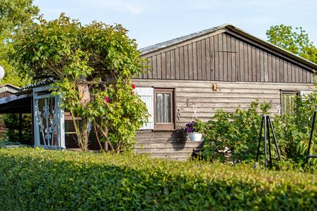 view into a allotment gardens, hedges left and right, roof of tiny houses, springの写真素材