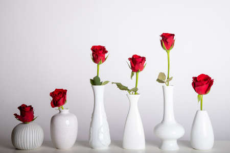 six white vases, each with a red rose against a white background, decorationの写真素材