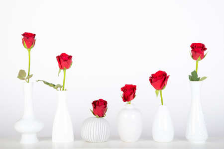 six white vases, each with a red rose against a white background, decorationの写真素材