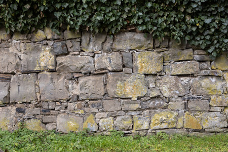 stone wall surrounded by bushes and grass as backgroundの写真素材
