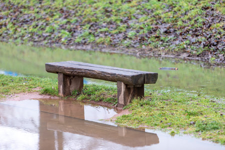 wooden bench in flooded grassland