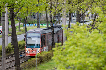 Cologne, NRW, Germany, 05 03 2021, tram of KVB in Cologne between treesのeditorial素材