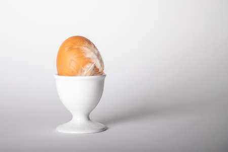 brown chicken egg in an egg cup with white feathers on white background
