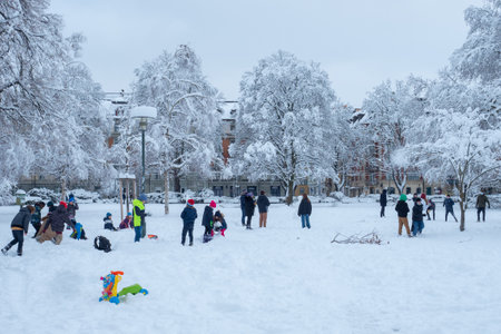 Zurich, Switzerland - January 15th 2021: Playing in the snow at Baeckeranlage