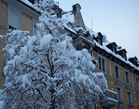 Heavy snowfall in Zurich: A snow loaded tree in front of a historic facadeの写真素材
