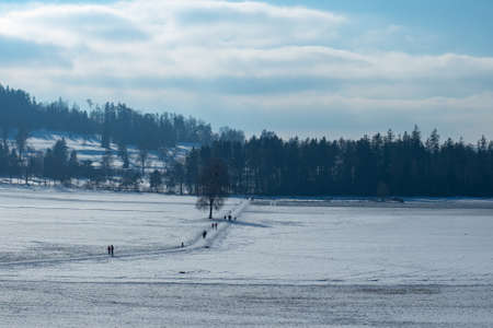 Sunday promenade on a flat, snow covered plain near Zurich, Switzerlandの写真素材