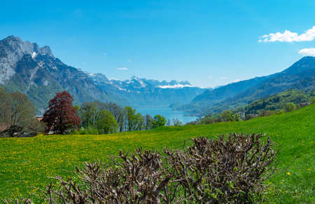 View over a beautiful meadow to Walensee, a lake in Switzerland, and mountainsの写真素材
