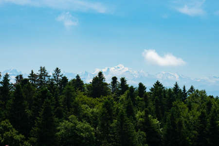 View over a forest from the Swiss Jura mountains towards the Mont-Blanc ridge.の写真素材