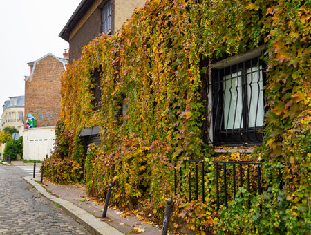 Paris, France - November 15th 2021: Green wall of a residential building in a quiet housing areaのeditorial素材
