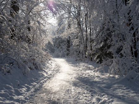 Zurich, Switzerland - December 12th 2023: View along a snow covered footpath against the sunの写真素材