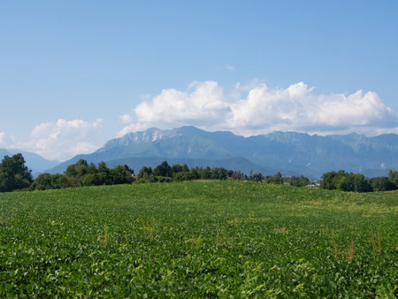Udinese, Italy - July 29th 2024: View over agricultural fields and forests towards the Southern Alpsの写真素材