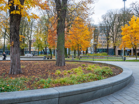 Augsburg, Germany - November 18th 2023: Attractive urban space with autumnal trees at Koenigsplatzのeditorial素材