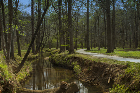 Heath Parkのeditorial素材