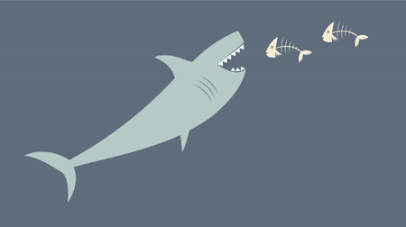 A deadly great white shark feasting on fish.のイラスト素材