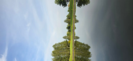 Aerial view of a road in the middle of a forest.