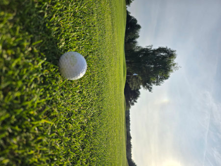 Golf ball on green grass field with reflection of trees and skyの写真素材