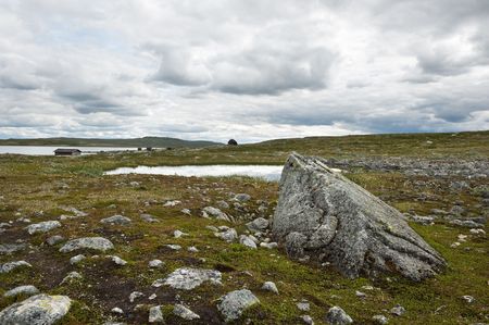 Rural nature in the mountain passage between Oslo and Bergen in Norwayの写真素材