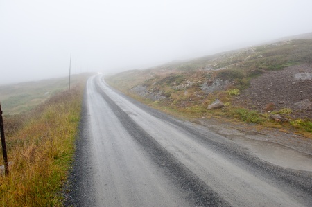 A country road through rural nature in foggy weatherの写真素材