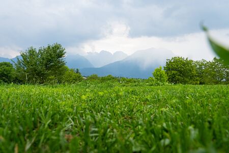 A thunderstorm is coming after a sunny day in a park beside Dolomites mountainsの写真素材