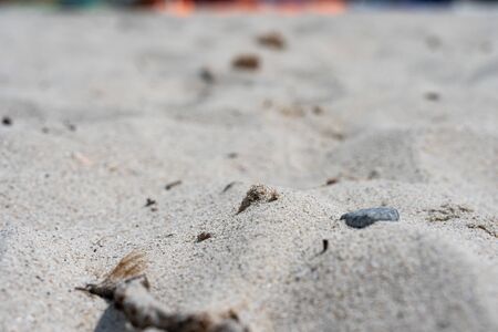 Details of sand in famous Sardinia beach in Caprera called Wreck Bayの写真素材