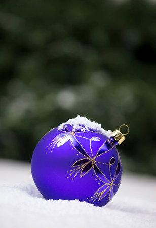 Christmas Ornamentの写真素材