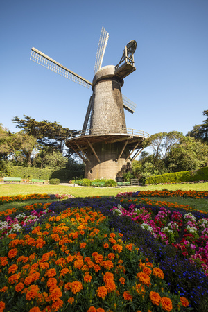 Windmill and Flowersの写真素材