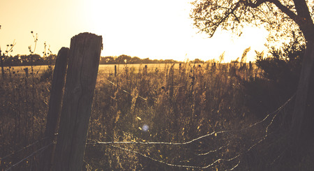 Country Livingの写真素材