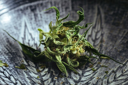 Close-up of dried medical marijuana