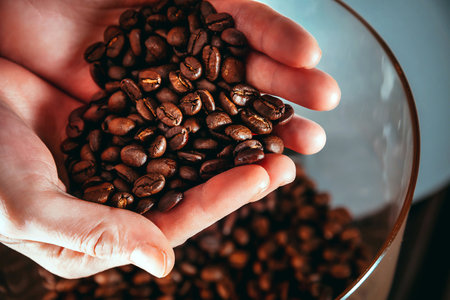 Coffee beans in the handsの写真素材