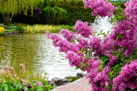 Landscape design
