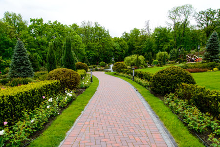 Landscape design