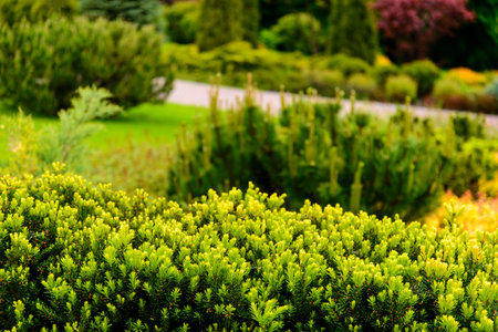 Landscape designの写真素材