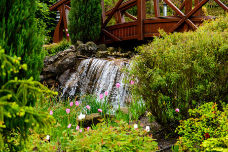 Landscape design. Waterfallの写真素材