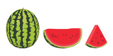 Watermelon isolated on a white background. Vector illustration of watermelon.のイラスト素材