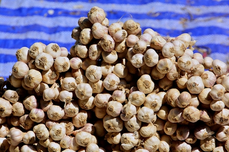 Garlic paste sold by vendors at a market in Thailand.の写真素材
