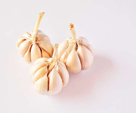 3 garlic  on a white backgroundの写真素材