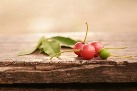 Flacourtiaceae / Indian plum on the old wooden floor and blurred background.の写真素材