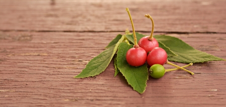 Flacourtiaceae / Indian plum on the old wooden floor and blurred background.の写真素材