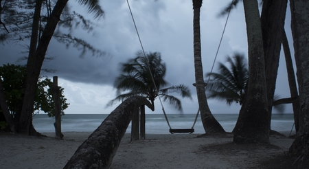 The wind rain blows to the shore.Make the sky dim and the tree shakes.の写真素材