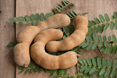 Organic tamarind and organic tamarind leaves on old wood surfaces. For background or article work or other.の写真素材