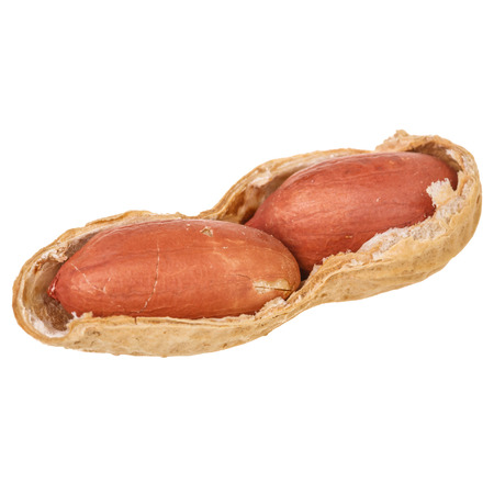 closeup of dried peanuts